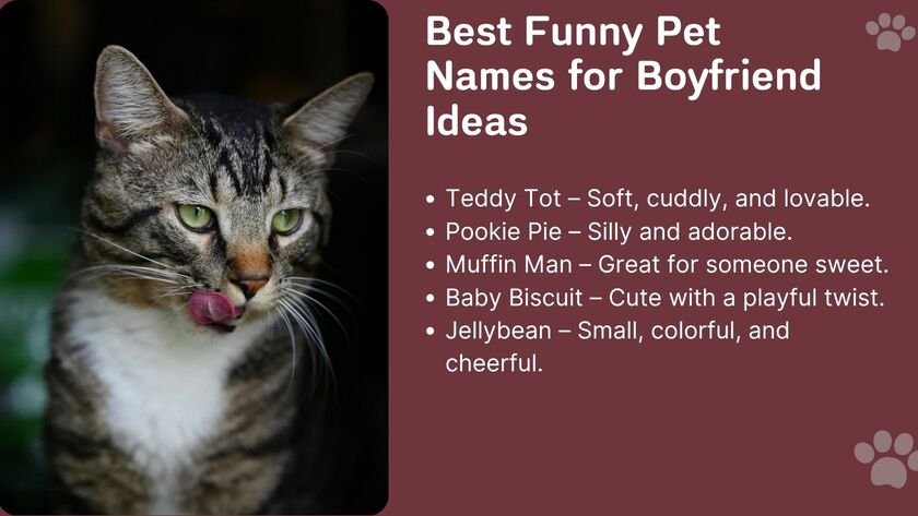 Best Funny Pet Names for Boyfriend Ideas