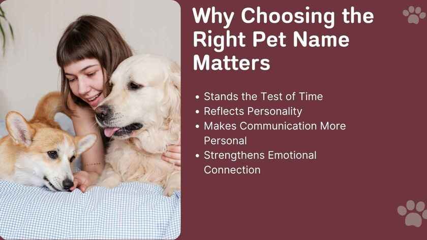 Russian Pet Names For Boyfriend
