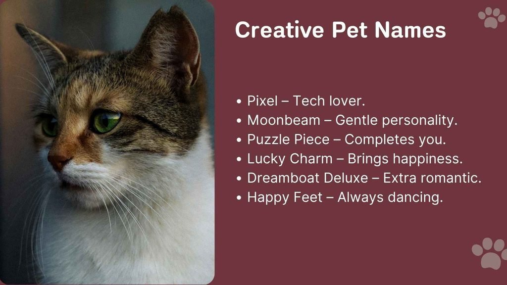 Creative Pet Names