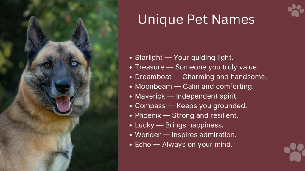 Unique Pet Names