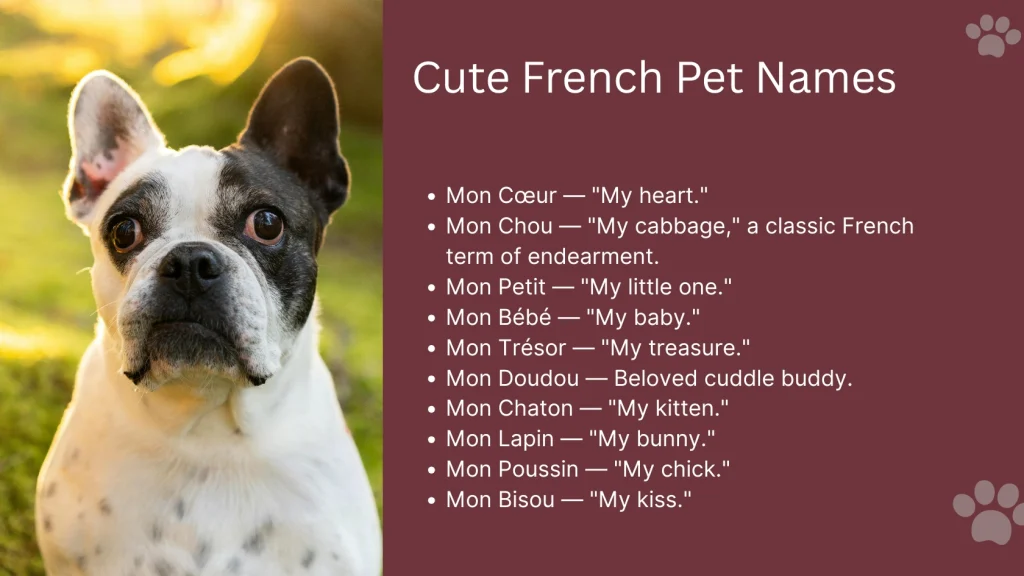 Cute French Pet Names