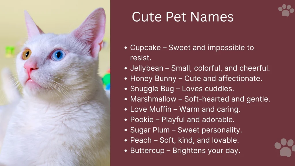 Cute Pet Names