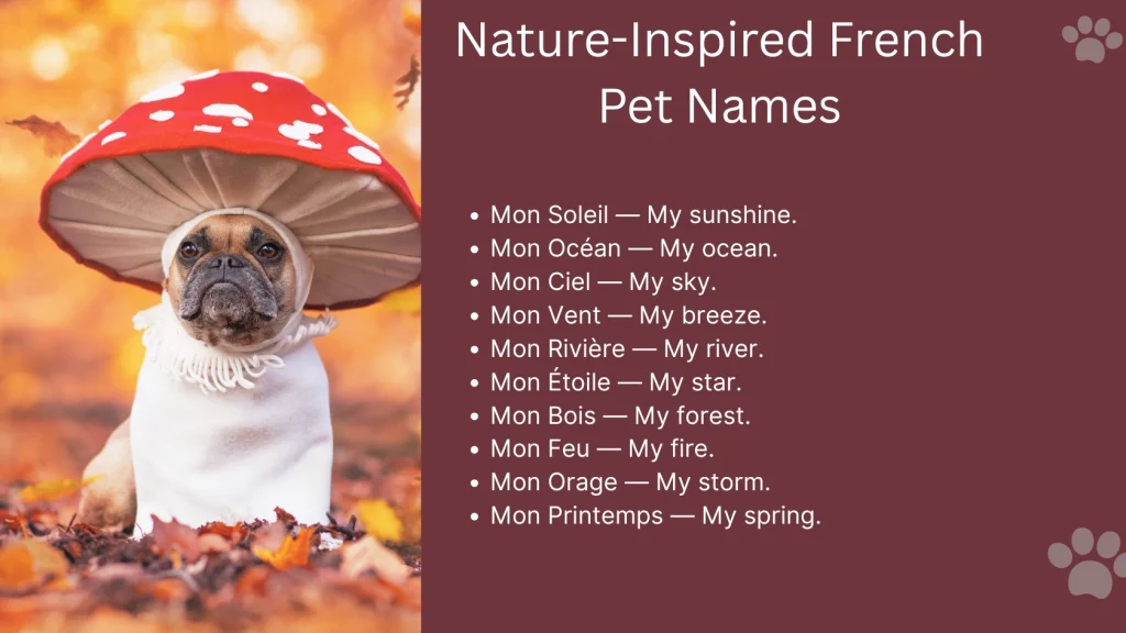 Nature-Inspired French Pet Names