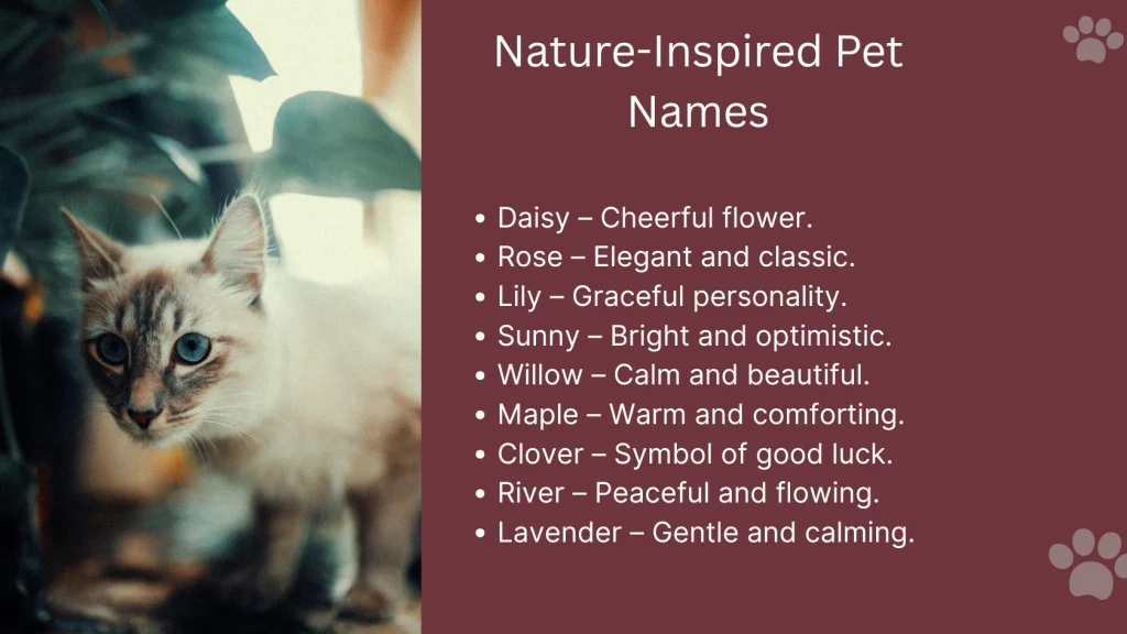 Nature-Inspired Pet Names