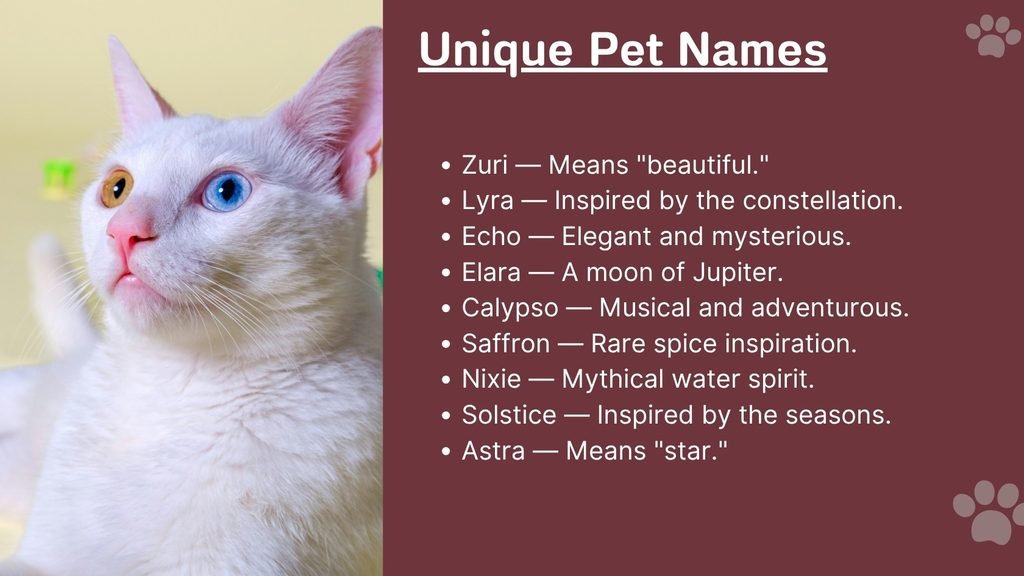 Unique Pet Names