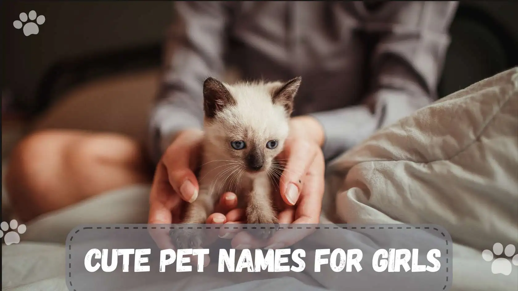 Cute Pet Names for Girls