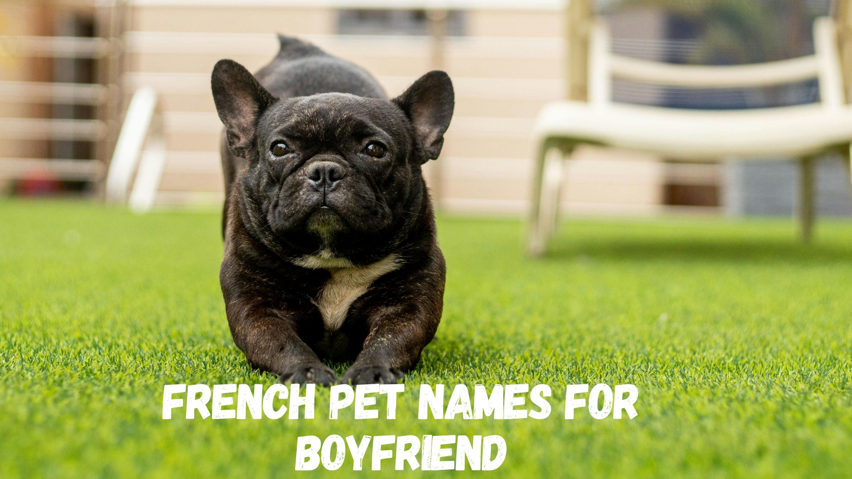 150+ French Pet Names for Boyfriend | Romantic, Cute, and Charming Nicknames