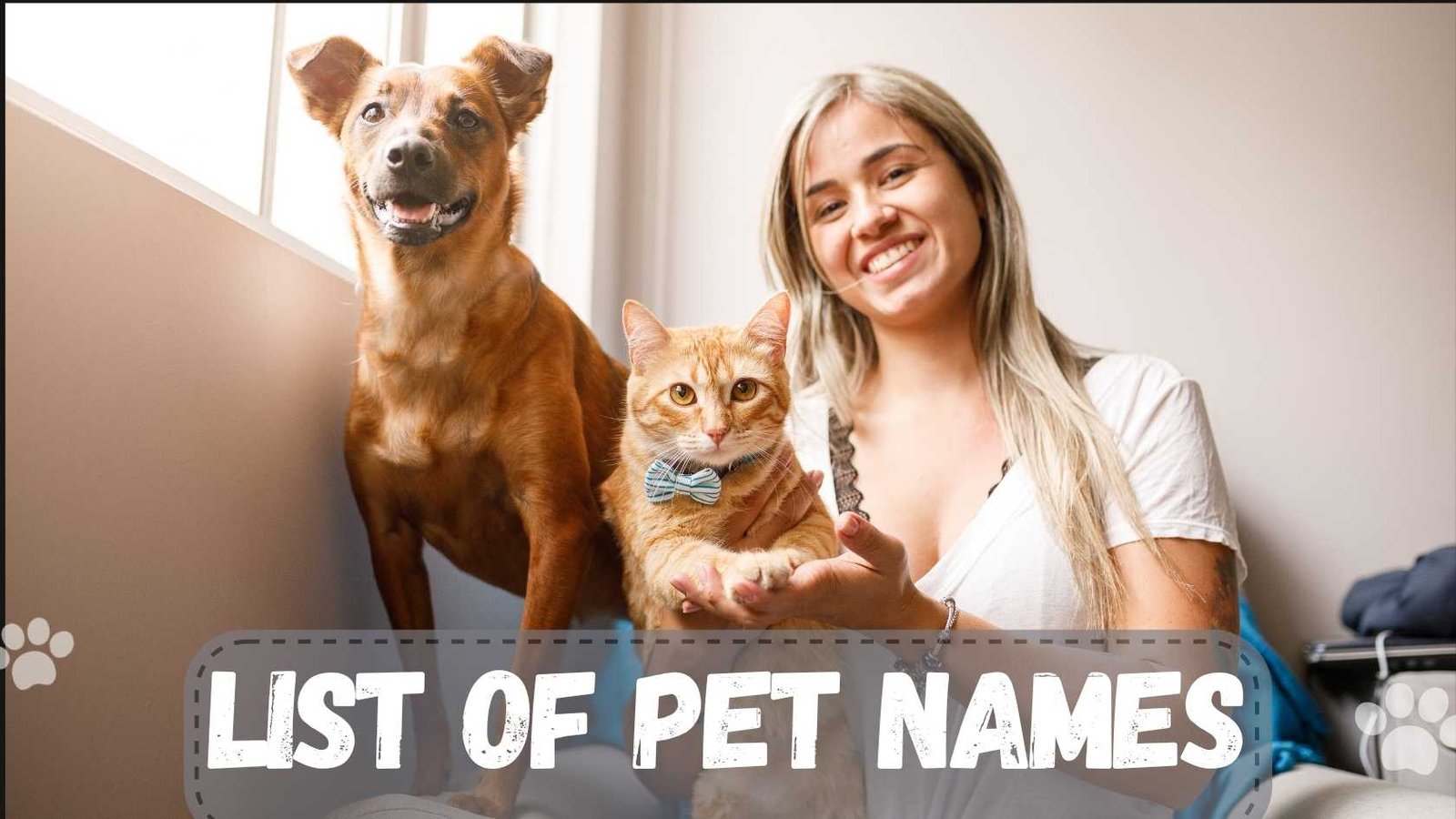 200+ List of Pet Names | Cute, Funny, Unique, and Creative Pet Name Ideas