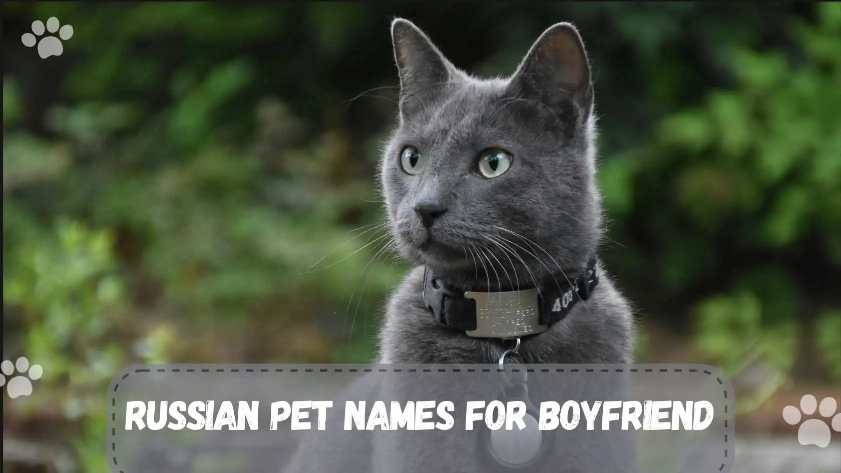 150+ Russian Pet Names for Boyfriend | Sweet, Romantic, Cute & Funny Nicknames